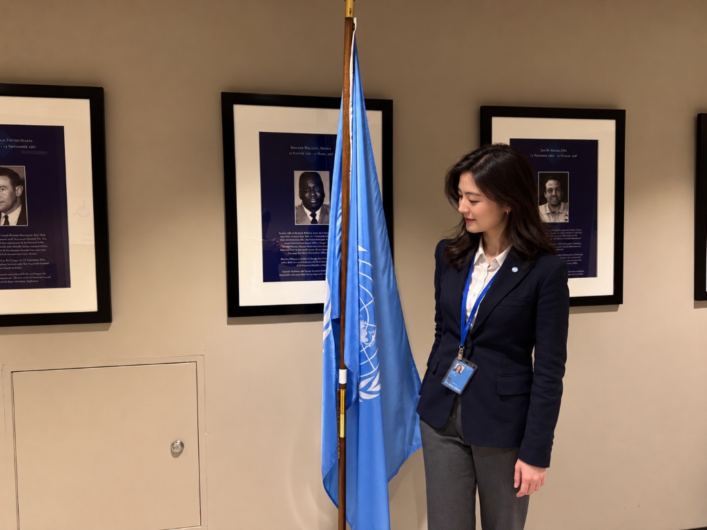 The United Nations flag in a UN meeting room